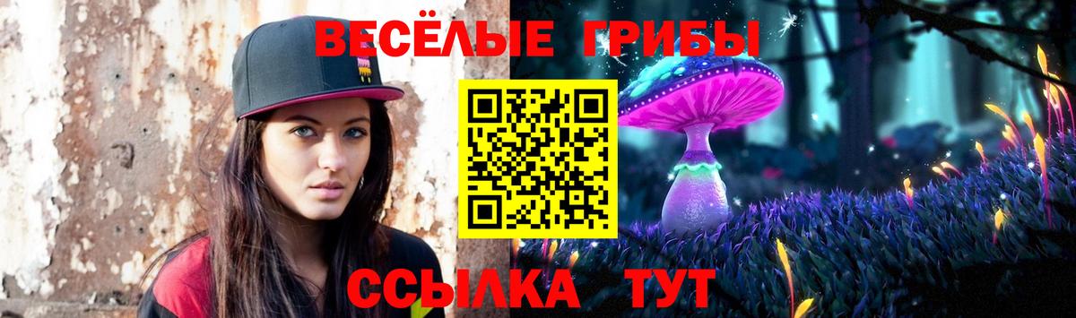 Псилоцибиновые грибы MAGIC MUSHROOMS  Вход с VPN  Валуйки 